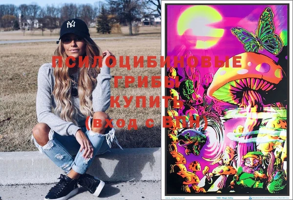 2c-b Белоозёрский